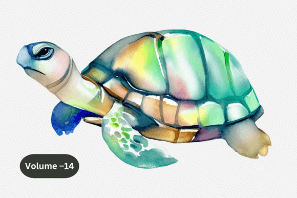 Download Watercolor Sea Turtle Sublimation PNG - Turtle Collection